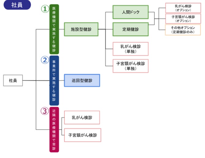 健診の概要を説明しています。（社員）
