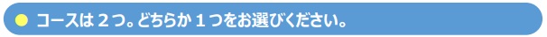 コースは2種類。どちらか一つをお選びください。
